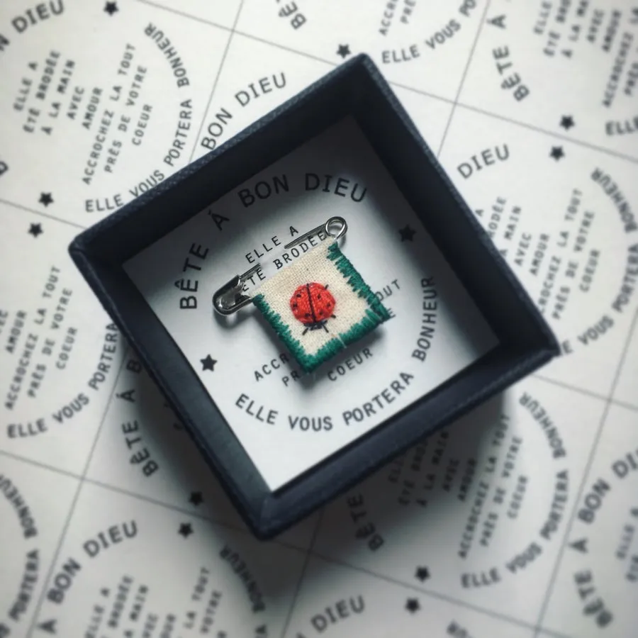 Broche Bête à bon dieu